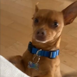 Meet your Posher, Christian d